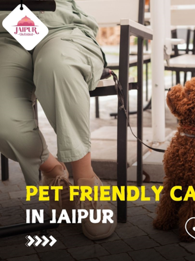 Pet-Friendly Cafe in Jaipur: Dine Out with Your Pets – Jaipur Unfolded