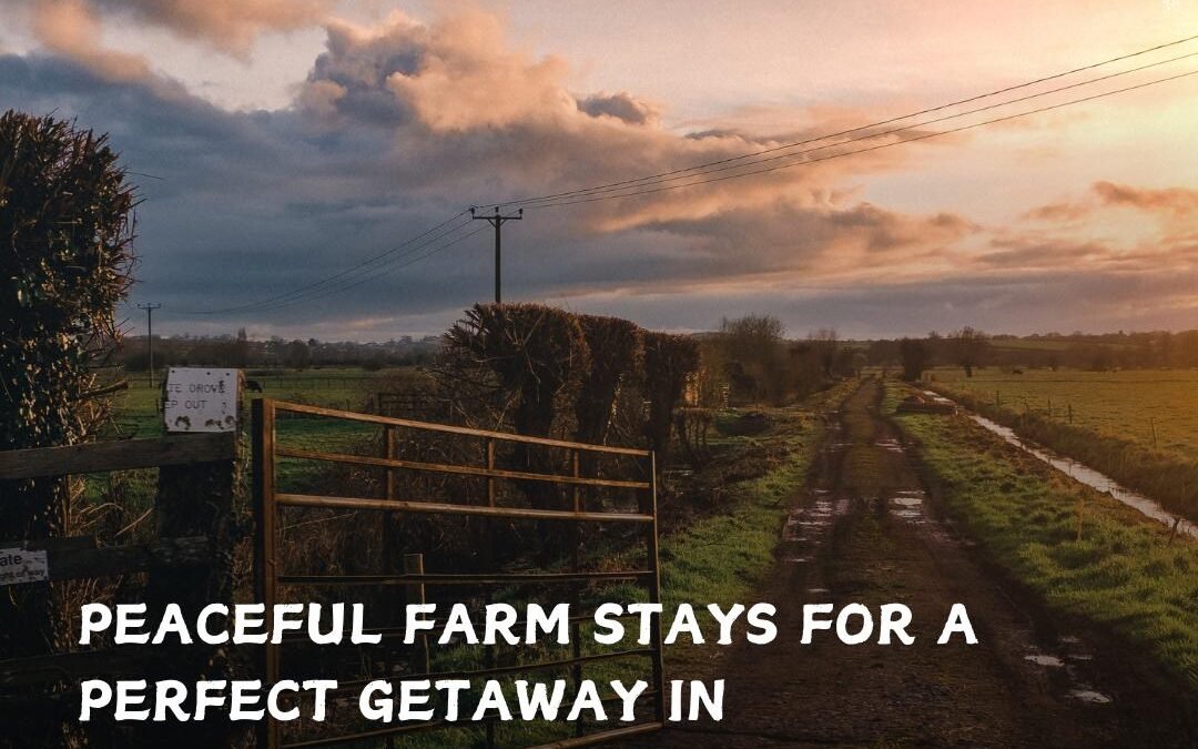 Relaxing Farm House Stay in Jaipur for Nature Lovers