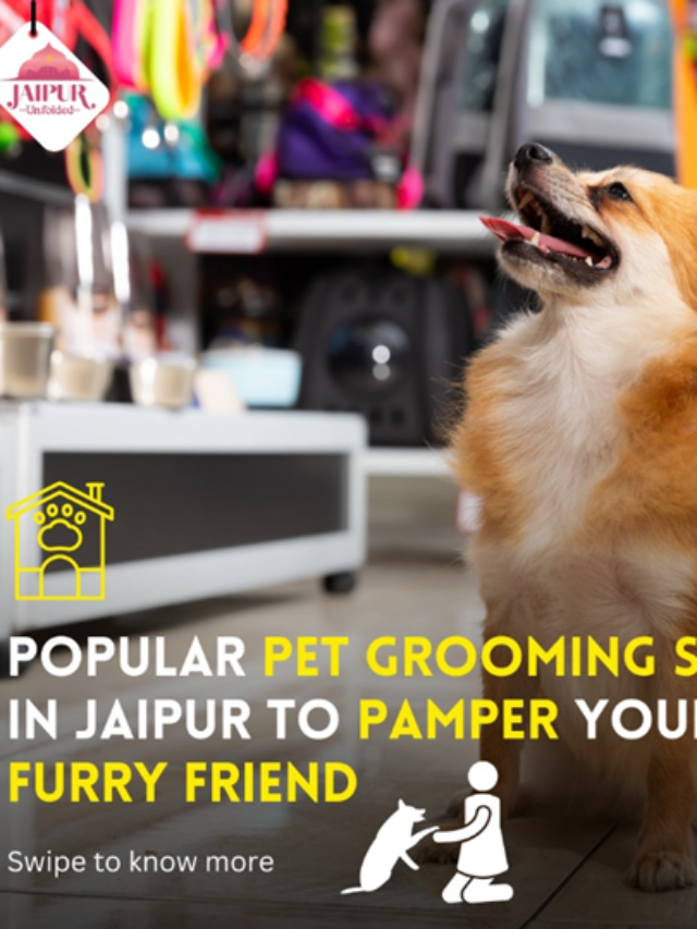Discover Pet Grooming in Jaipur | Expert Care for Your Pets