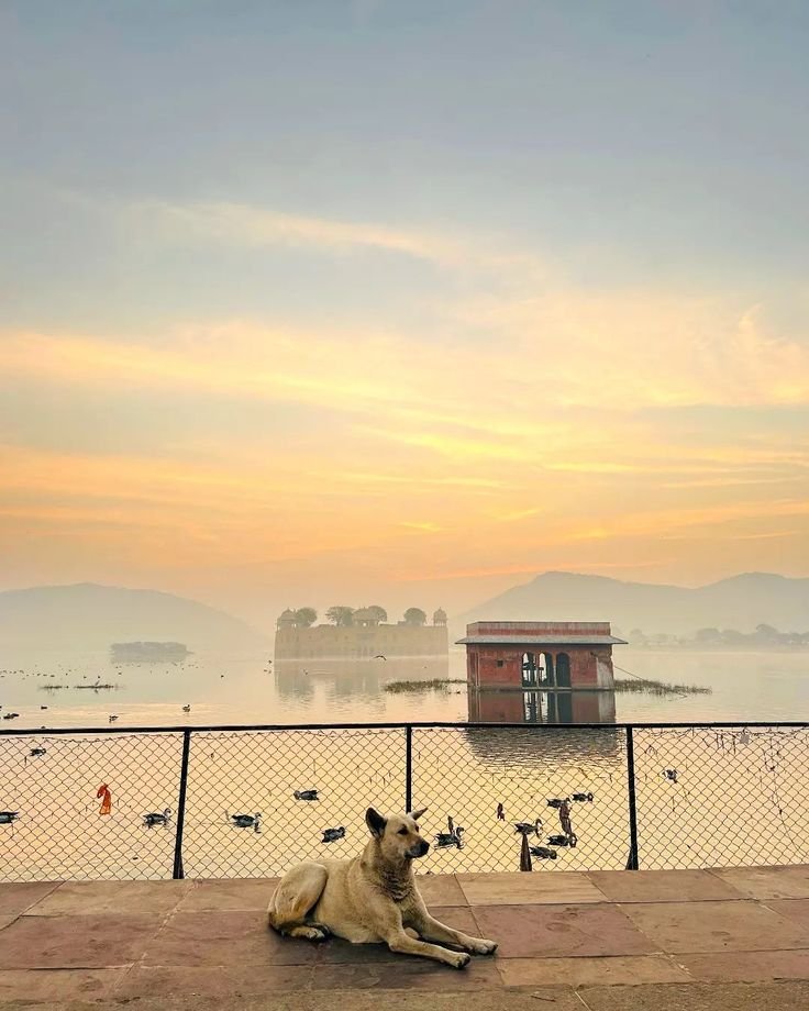 Why Winter is the Best Time to Travel Jaipur